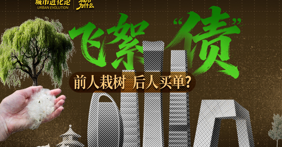 飞絮“债”：前人栽树，后人买单？