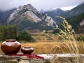 口子窖披露2025年报：营收近40亿元，净利润近7亿元，直销渠道收入逆势增长44%