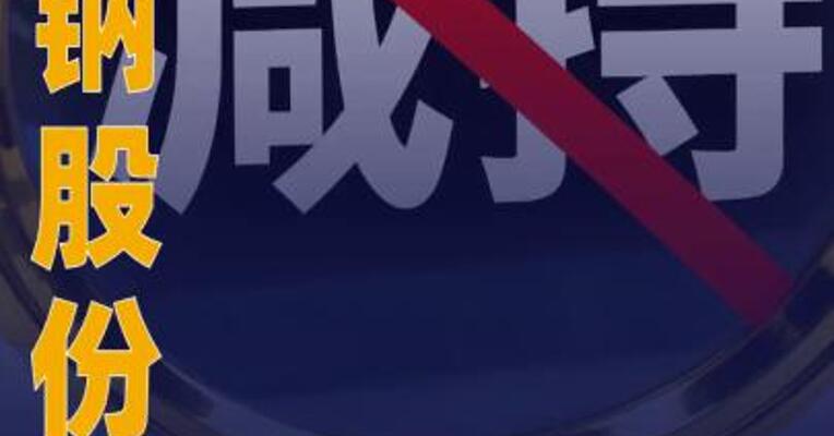 顺钠股份：股东邵伟华拟 减持不超过3%公司股份