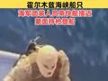 视频公布！伊朗扣押两艘未获授权通过霍尔木兹海峡船只