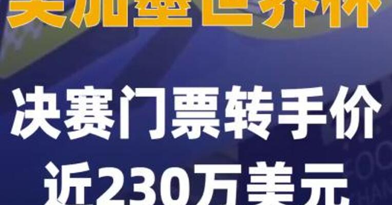 美加墨世界杯决赛门票转手价 近230万美元