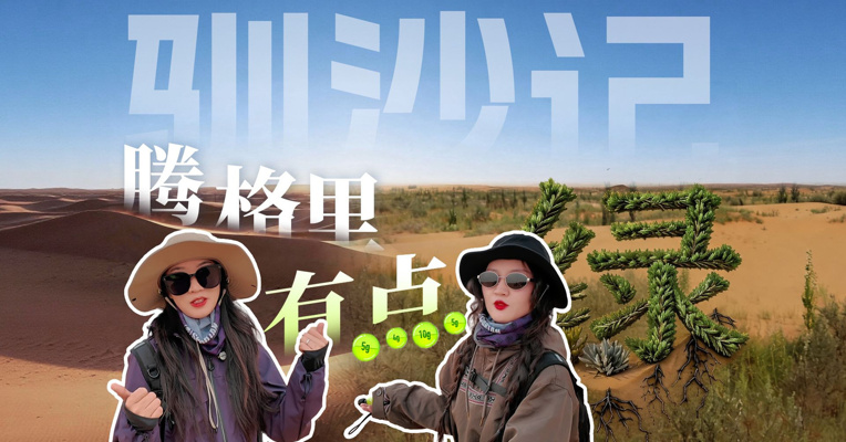 你收的能量，真的种树了吗？我们决定去阿拉善找一找！