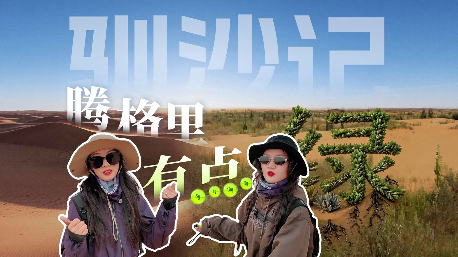 你收的能量，真的种树了吗？我们决定去阿拉善找一找！