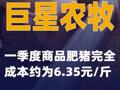 巨星农牧：一季度商品肥猪完全成本约为6.35元/斤