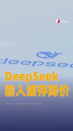 DeepSeek输入缓存降价