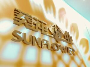 葵花药业2025年年报：阵痛中变革，以“短痛”换“长生”