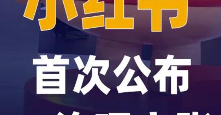 小红书首次公布AI治理主张