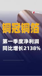 铜冠铜箔：第一季度净利润同比增长2138%