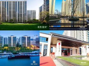 三湘印象牵手未来能碳，共筑新能源+绿色建筑+智慧能碳融合生态