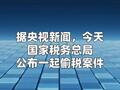 “探店”网红白冰偷税被查追缴并罚款超1891万元