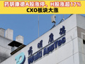 一季度营收首破百亿元，日赚5168万元！药明康德A股涨停、H股涨超17%，CXO板块大涨