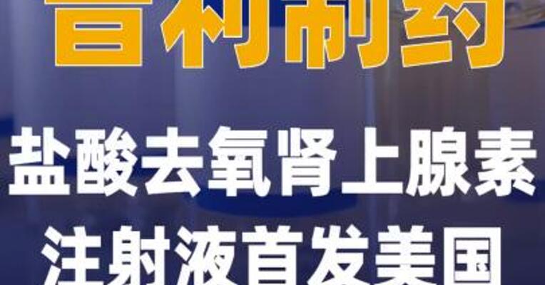 普利制药盐酸去氧肾上腺素 注射液首发美国
