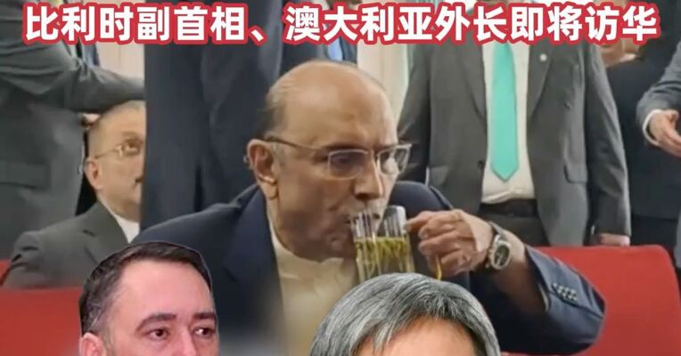 来了! 都来了!  多国政要密集来华，巴基斯坦总统到访湖南感受“中国制造”，比利时副首相、澳大利亚外长即将访华