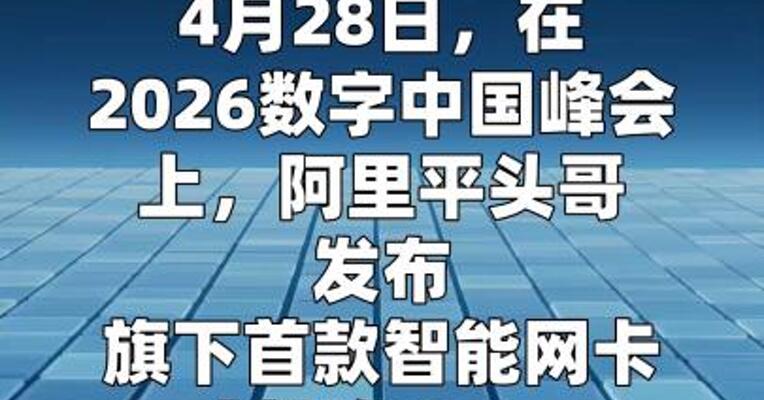 平头哥发布首款智能网卡「磐脉920」