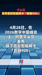 平头哥发布首款智能网卡「磐脉920」
