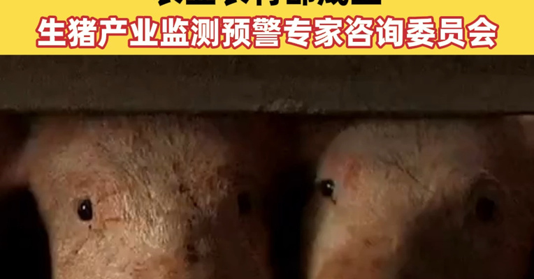 加强权威预警信息发布，促进生猪产业稳定健康发展！农业农村部成立生猪产业监测预警专家咨询委员会