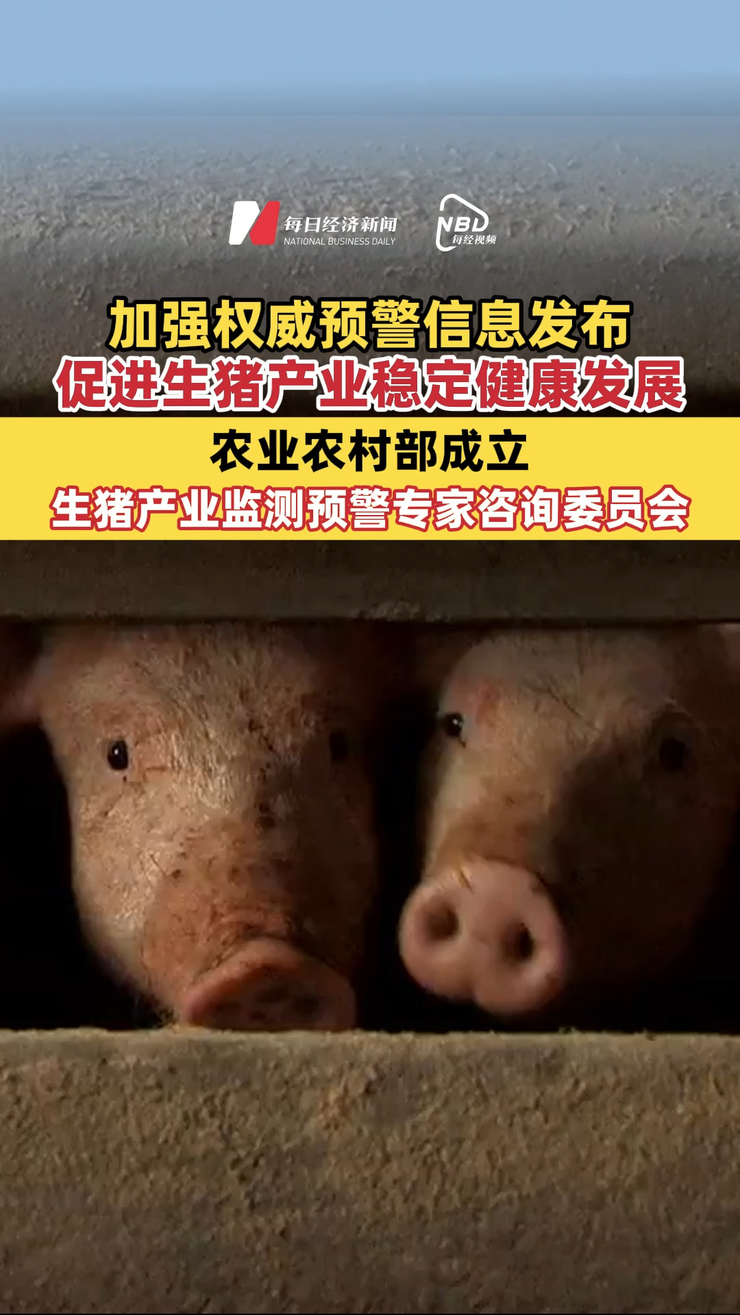 加强权威预警信息发布，促进生猪产业稳定健康发展！农业农村部成立生猪产业监测预警专家咨询委员会