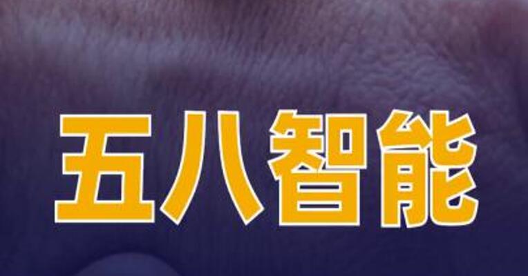 五八智能与当虹科技达成战略合作