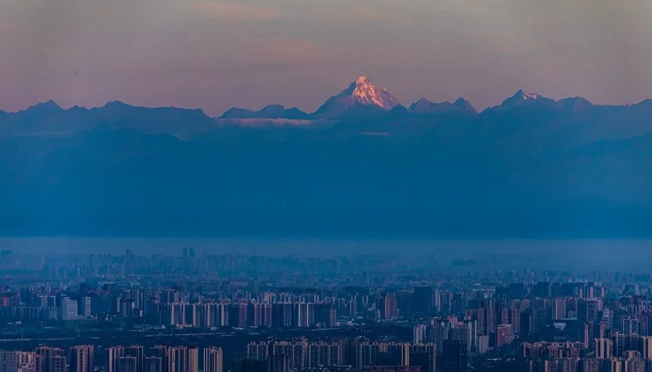 120天，成都數(shù)字文創(chuàng)交出一份怎樣的“非標(biāo)季報(bào)”？