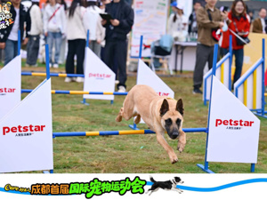 花海遇萌宠！成都首届国际宠物运动会解锁五一新玩法