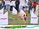 Open-uri20260501-29-1o76ia.thumb_hs