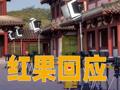 红果回应：VIP付费非新增，仅限极少量影视
