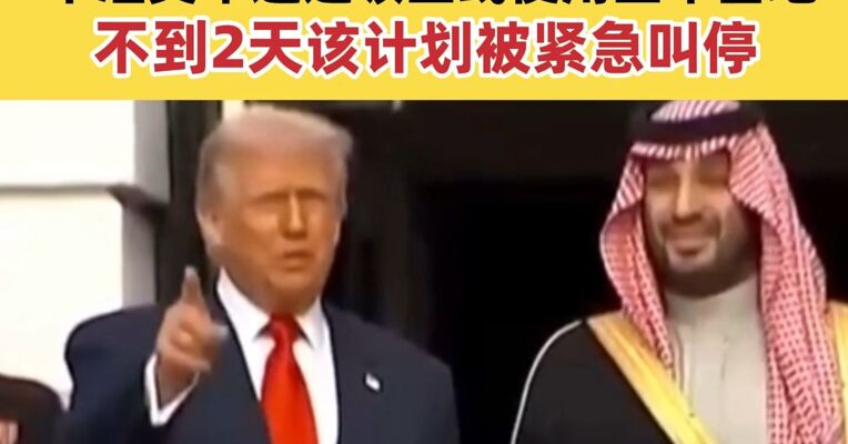 特朗普的“大计划”激怒沙特领导层 不准美军通过领空或使用空军基地！不到2天该计划被紧急叫停