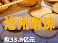 沧州明珠：拟33.8亿元投建华南基地项目