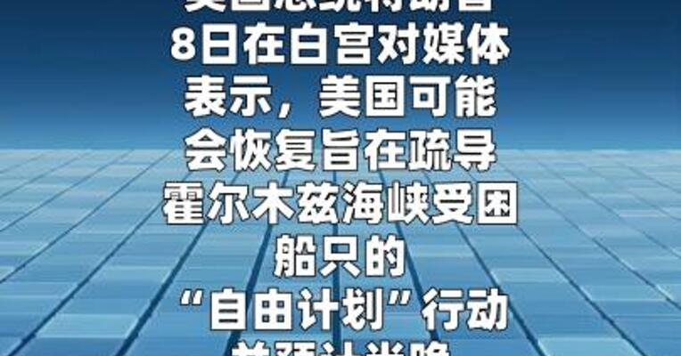 特朗普称可能恢复“自由计划”行动