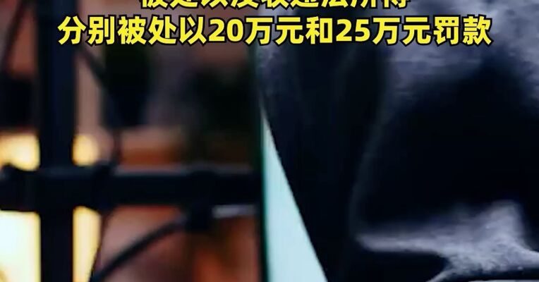 编造、传播芯片订单虚假信息两名自媒体运营者，分别获利119.83元、173.70元，被处以没收违法所得，分别被处以20万元和25万元罚款