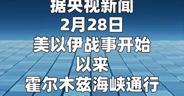 霍尔木兹海峡受阻 德航运巨头称每周额外花费 超5000万美元