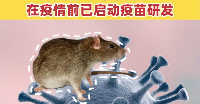 汉坦病毒 老牌隐形病毒揭秘 张文宏称此次传播路径异常 美国公司与美军在疫情前已启动疫苗研发