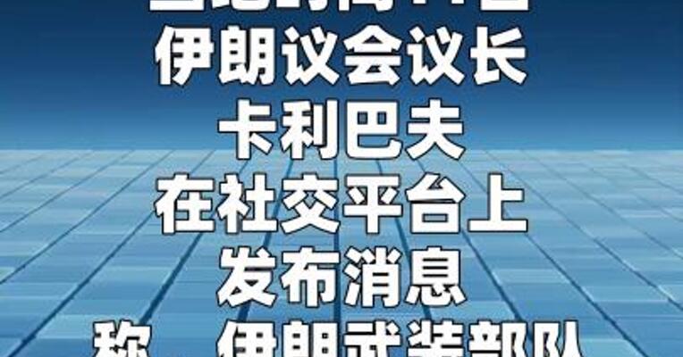伊朗议长：伊武装部队已做好准备应对任何侵略行为