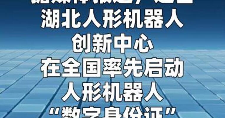 湖北率先 给人形机器人办理“数字身份证”