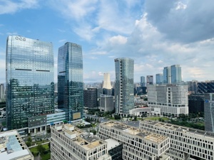 成都高新区优化集成电路产业生态环境 擦亮“成新称意”营商环境服务品牌