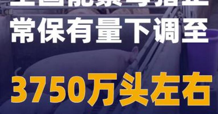 全国能繁母猪正常保有量下调至3750万头左右