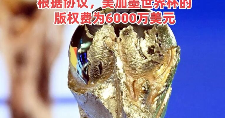 官宣！央视拿下两届世界杯版权，知情人士：根据协议，#美加墨世界杯版权费为6000万美元