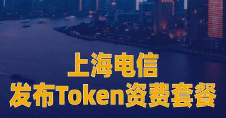 上海电信发布Token资费套餐1元对应25万额度点