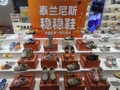泰兰尼斯1879元童鞋到底价值几何？制鞋代工厂：做一双鞋我们就赚几块钱