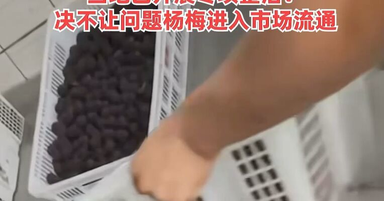 有商贩用防腐剂和“三无”甜味剂浸泡杨梅，工人一口不碰，商家称“都这样”！当地已开展专项整治：决不让问题杨梅进入市场流通