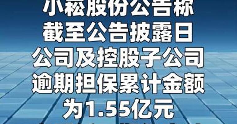 小崧股份：公司及控股子公司逾期担保累计1.55亿元