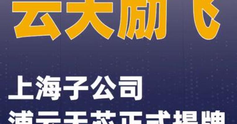 云天励飞：上海子公司浦云天芯正式揭牌