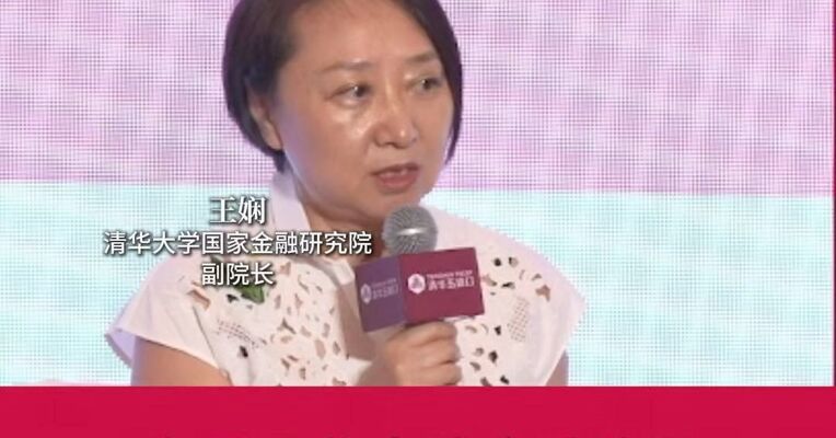 清华大学国家金融研究院副院长王娴：绿色发展的核心内容是由政府或者国际组织先行
