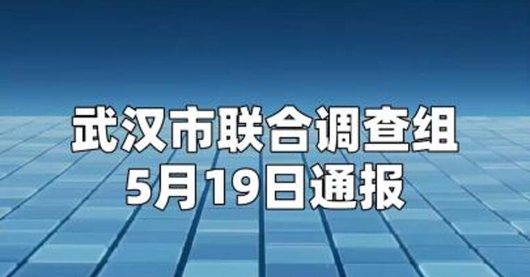 武汉通报 “昌盛泡花碱厂环境问题”
