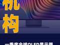 机构：一季度全球OLED 显示器出货量同比增长 78%