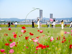 高效能治理｜影业公司从对接到落户仅用一周 兴隆街道用“保姆式”帮扶赢得企业认可