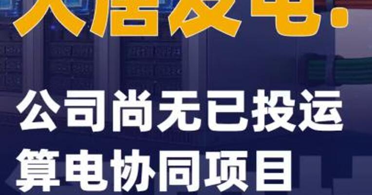 大唐发电：公司尚无已投运算电协同项目