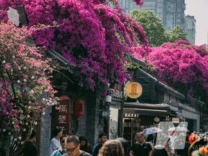 游客踩过的“坑”，该谁来填？