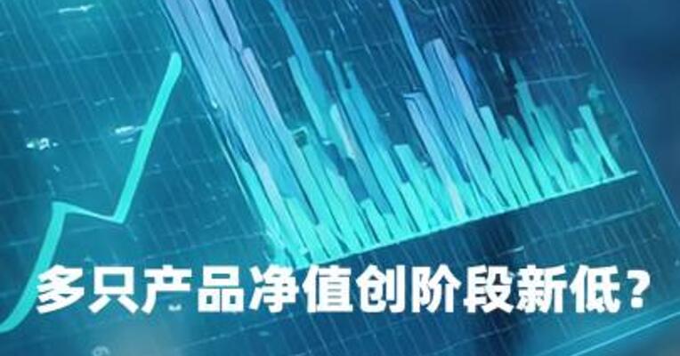 多只产品净值创阶段新低？林园投资回应