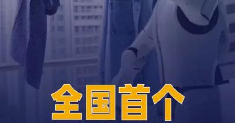 全国首个面向家庭场景的 通用机器人在武汉发布